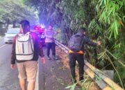 Halangi Jalan Raya Polsek Limbangan Polres Garut Evakuasi Pohon Tumbang 