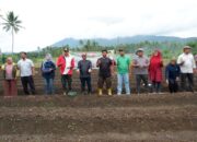 Pj. Walikota Dukung Ketersedian Bibit Bawang Merah Dalam Rangka Kendalikan Inflasi Di Kota Padangsidimpuan