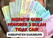 Insentif Dan SK Petikan Bupati Dari Pemerintah Kabupaten Sukabumi Belum Kunjung Keluar