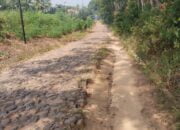 Jalan Dari setasiun Lama Menuju setasiun Baru Way Tuba Tak Kunjung Dibangun  PT. KAI Tokoh Masyarakat SAHDANA DUMAS Angkat bicara. 