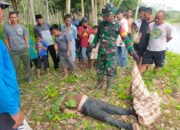 Warga Dusun Empelu Dan Dusun Sungai Mancur Dihebohkan Penemuan Mayat Di Tepi Sungai Batang Teno