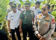 Kapolda-Pangdam Tinjau Budidaya Pisang Cavendish Produk Unggulan di Bone