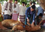 Pj. Bupati Asmar Wijaya Penyembelihan Hewan Qurban Di Madjid Al – Hidayah Kel Sukadana Kec Kota Kayuagung OKI