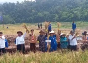 HADIRI PANEN RAYA TNI ANGKATAN LAUT DI WILAYAH LAMPUNG TAHUN 2024