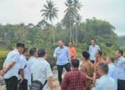 Pj. Wali Kota Padangsidimpuan”Tinjau Daerah Irigasi Ujung Gurap yang Terdampak Tanah Longsor