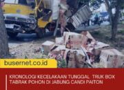 Kronologi Kecelakaan Tunggal, Truk Box Tabrak Pohon, di Jabung Candi Paiton