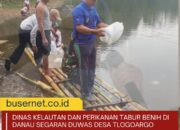 Jaga Populasi, Dinas Kelautan dan Perikanan Tabur Benih Ikan Di Danau Segaran Duwas