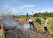 Puluhan Personel Polres Lamtim Diterjunkan, Dalam Mangatasi Kebakaran Hutan TNWK