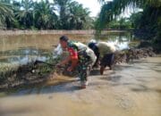 Babinsa Koramil 04/Bendahara Bantu Petani Membuat Pematang Sawah