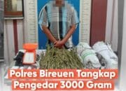 Polres Bireuen Tangkap Pelaku Pengedar Narkotika, 3000 Gram Ganja Kering Disita